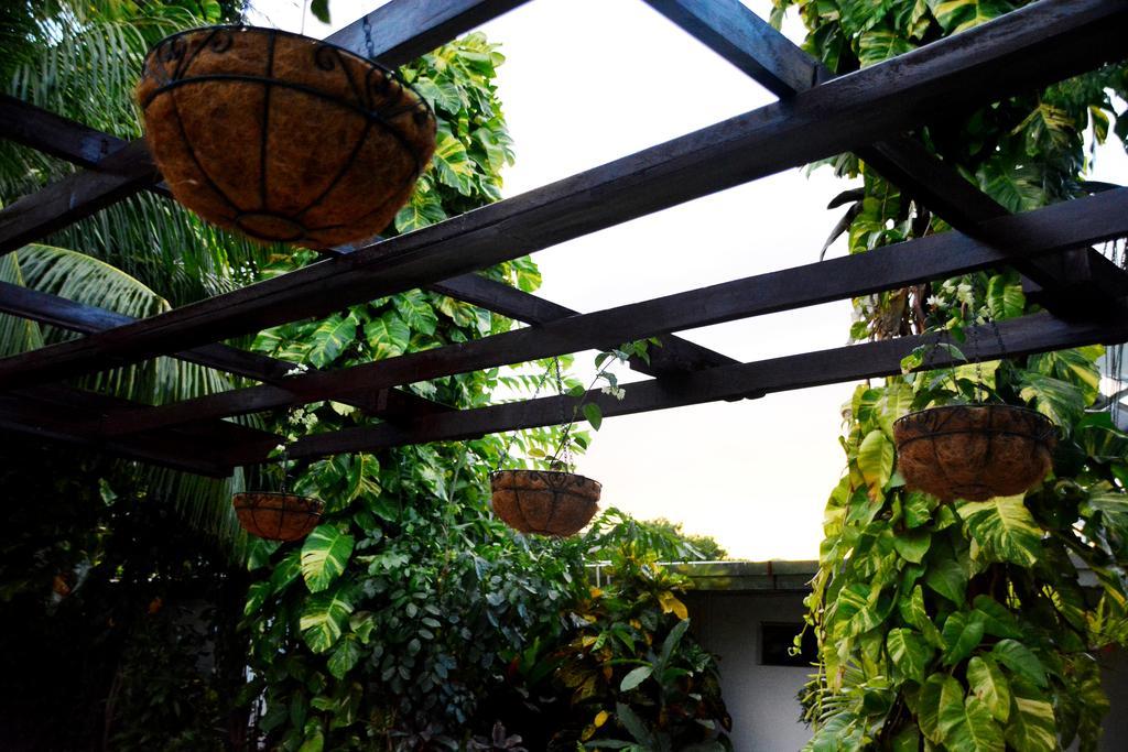 Hotel Europeo Managua Bagian luar foto